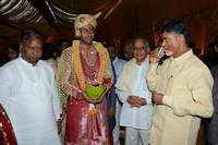 Balakrishna Daughter Tejaswini Wedding Photos